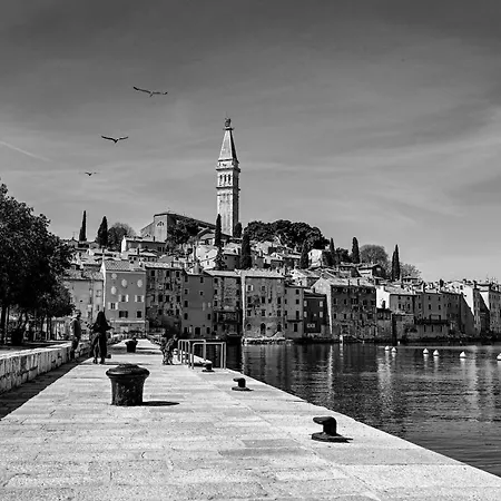 Casa Marti With Terrace & Garden شقة